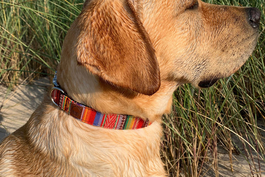 Boho Hundehalsband - Multi