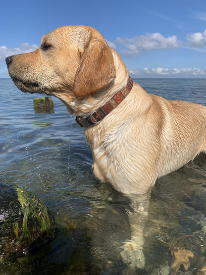 Boho Hundehalsband - Braun