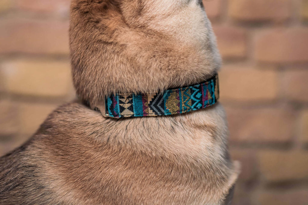 boho-hunde-halsband-blau-hippie